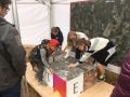 IMG 2175